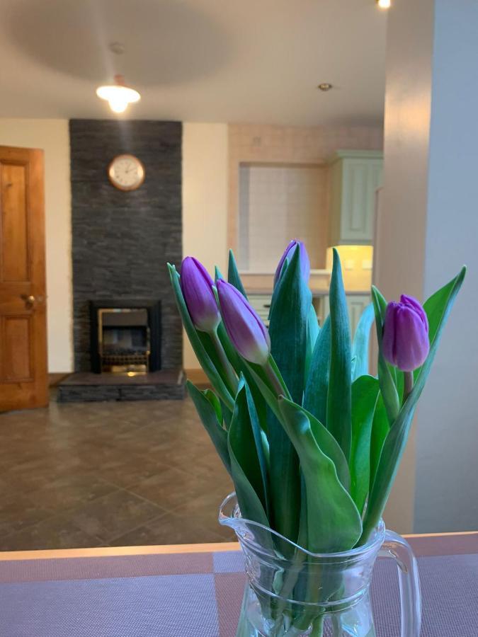 Ringfort Manor Rathfriland Bagian luar foto