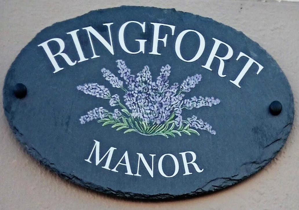 Ringfort Manor Rathfriland Bagian luar foto